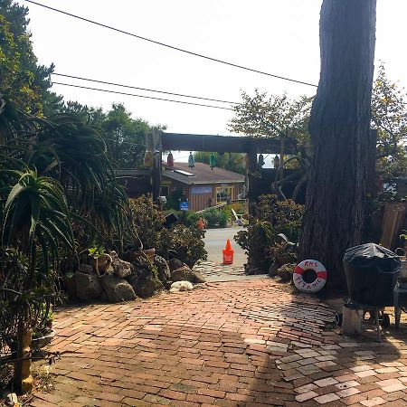 Bed and Breakfast Stinson Beach Redwoods Haus Екстер'єр фото